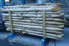 Kastanienholz-Pfaehle-250cm-angespitzt