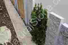 Sichtschutz-Palisaden-Kastanienholz-Hinten