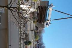 Auf-Dachterrasse-mit-Autokran-via-Baum