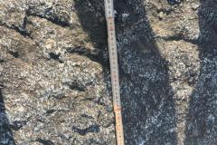 3-StellRiemen-50-cm-breit